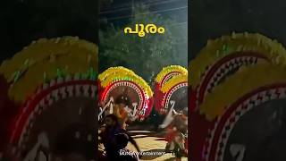 എടാ മൊനേ.. പൂരം കാണടാ../#പൂരം #pooram #uthsavam