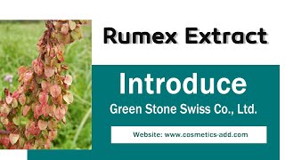 Wholesale Bulk Rumex Extract Powder, Polygonaceae