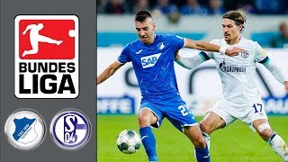 TSG 1899 Hoffenheim vs  FC Schalke 04 ᴴᴰ 20.10.2019- 8. Spieltag - 1. Bundesliga | FIFA 20