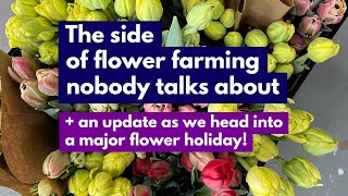 The side of flower farming nobody talks about+ an update as we head into a major flower holiday!