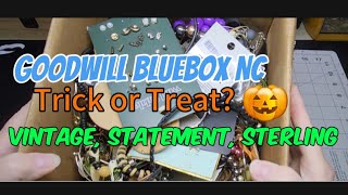 Goodwill Blue Box North Carolina mystery jewelry unboxing vintage, statement necklaces, and Sterling