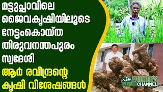 മട്ടുപ്പാവിലെ ജൈവകൃഷി |  R Raveendran, Ulloor, Thiruvananthapuram | Farmers Channel |