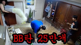 비비탄 250000개로 복수하기ㅋㅋㅋ