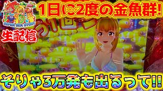 【Live78連①】Pスーパー海物語IN沖縄5!コンちゃんの生配信!!