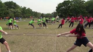 전략 줄다리기! Strategic tug-of-war