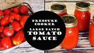 Pressure Cook Fresh Tomatoes into Sauce! (Breville Fast Slow  Pro)