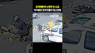 키위와 상자로 난장판이 된 도로.. 감동적인 시민들과 구급차의 감동