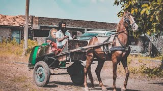 Vanrajbhai Khavad - Shrivaniya - Bullet Horse | Awesome kathiyawari Horses