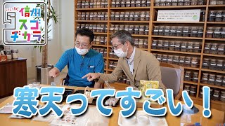 かんてんぱぱから肝臓の臓器モデルまで多種多様な製品開発に密着！寒天ってすごい！ / 伊那で誕生！世界が注目する臓器モデル②（いいね！信州スゴヂカラ 2021年10月23日）