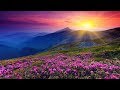 Relaxing Instrumental Hymns That Are Encouraging & Inspirational | Beautiful, Soothing, Peaceful