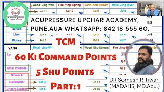 Most easy way to remember 60 ki command points | Five Shu Points | TCM | Hindi | DR Somesh Tiwari