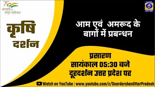 आम एवं अमरुद के बागों में प्रबंधन : कृषि दर्शन - 05:30 PM