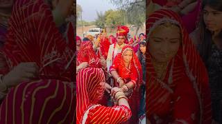 Rajasthani dhol thali dance #balajikiladli #bishnoitradition #samdabishnoi #bishnoiculture