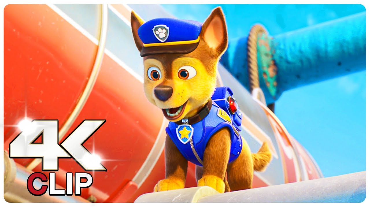 Paw Patrol Movie 2021 Australia Hardwarebool