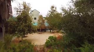 Fullerton Arboretum Virtual Tour