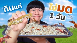 1 วัน  กินแต่ไข่มดแดง!!