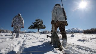 Late Season Coyote Success