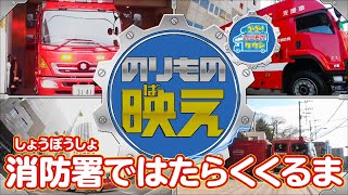 【のりもの映え】消防署ではたらくくるま（ポンプ車・はしご車）