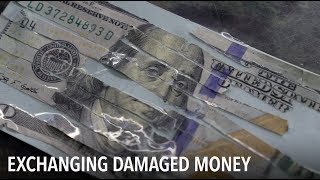 What happens with damaged U.S. dollars? | VOA Connect