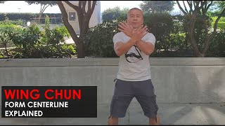 Solo Training drills : Form Opening Centerline Explained - Wing Chun, Kung Fu Report - Adam Chan