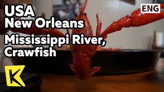 【K】USA Travel-New Orleans[미국 여행-뉴올리언스]미시시피 강변의 크로우피쉬/Mississippi River, Crawfish/Seafood/Cajun