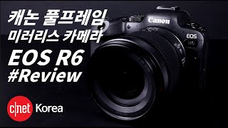 캐논 EOS R6: 풀프레임 미러리스 카메라 '기준' 제시  | #Review