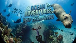 The Dive-In: A Close-Encounters-of-the-Whiskered-Kind Story! 🤿🦁