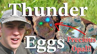 Precious Opal Uncovered While Cutting Thundereggs!!