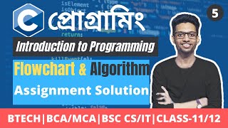 C Programming For Beginners - Assignment Solution - C Programming Bangla Tutorial