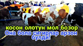 Косон Олотун мол бозори нархлари 10.11.2023