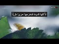 അല്ലാഹു ഏകനാണെന്നതില്‍ തെളിവ്‌ super islamic video zain tv hd