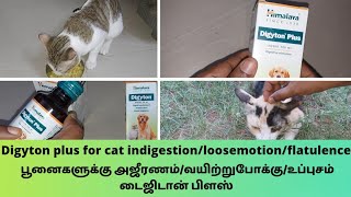 Digyton plus for cat indigestion/loosemotion/flatulenceபூனைக்கு அஜீரணம்/வயிற்றுபோக்கு டைஜிடான் ப்ளஸ்