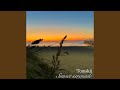 Sunset Serenade