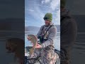 the mississippi river smallmouth are waking up springfishing mississippiriver smallmouthbass