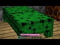 我的世界minecraft：村庄改造计划！岩浆做地毯 仙人掌做床 村民快乐屋！