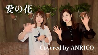 [Cover] 愛の花 / あいみょん [歌ってみた]Covered by ANRICO