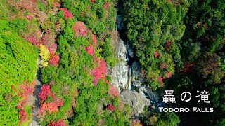 絶景！滝と紅葉のコラボレーション  平家伝説が眠る轟の滝【4K】