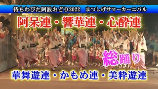 期待を裏切らない！阿呆連・響華連・心酔連・華舞遊連・かもめ連・美粋遊連、出演の「まつしげサマーカーニバル」阿波おどり２０２２