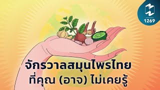 จักรวาลสมุนไพรไทยที่คุณ (อาจ) ไม่เคยรู้ | Mission To The Moon EP.1269