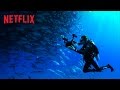 Mission Blue - Official Trailer - Netflix [HD]