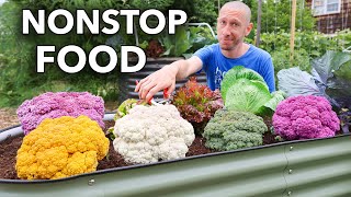 How to Grow a Garden That NEVER Stops Producing