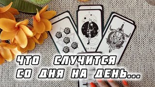 ❗ЧТО СЛУЧИТСЯ СО ДНЯ НА ДЕНЬ?..🍀♥️ Гадание Таро