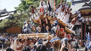 令和6年 西青木區 宮入 練りまわし 本住吉神社 春日神社 東灘だんじり祭