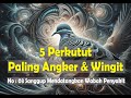 5 PERKUTUT PALING ANGKER & WINGIT || No:03 mampu mendatangkan wabah penyakit ||