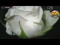 Şefaat - Mustafa Caymaz (Ilahi) Şefaat - Mustafa Caymaz (Ilahi)