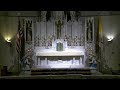 Holy Mass 11/10/24 - Twenty-fifth Sunday after Pentecost