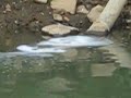 marcellus frac water discharged into the conemaugh river