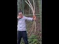 spider bow made out of bamboo homemade bamboo bow diy archery recurve bow bamboo craft