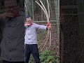 Spider bow made out of bamboo,homemade bamboo bow,diy archery,recurve bow,bamboo craft