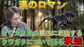 クワガタ界の最強に君臨するクワガタについて語る釈迦